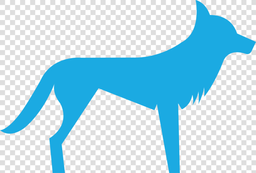 Blue Dingo   Png Download   Dog Catches Something  Transparent PngTransparent PNG