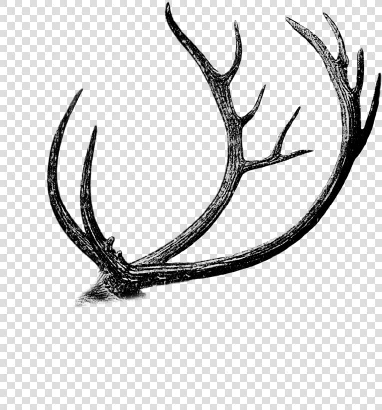 Free Png Antler Cutout By Mauvevrexel   Dibujos De Caza Mayor  Transparent PngTransparent PNG