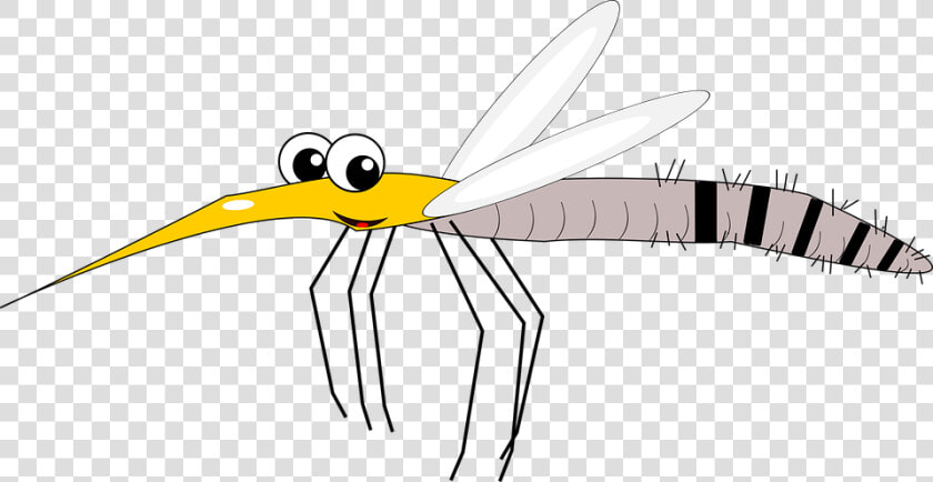 Mosquito  Virus  Blood  Bloodsucker  Zika  Malaria   Muggen Png  Transparent PngTransparent PNG