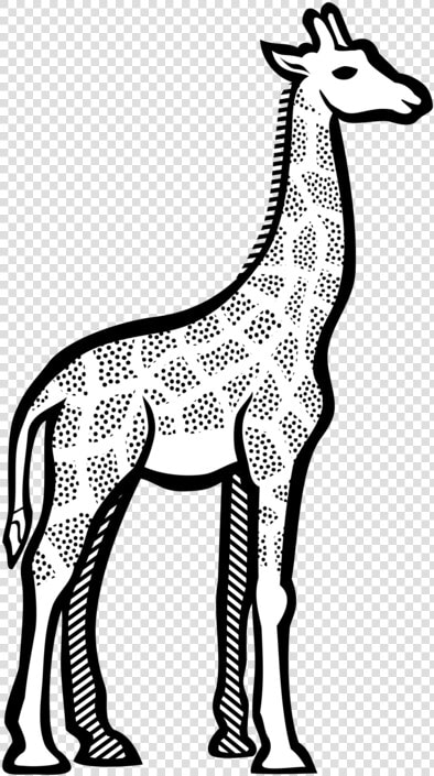 Monochrome Photography artwork deer   Clipart Image Of Giraffe  HD Png DownloadTransparent PNG