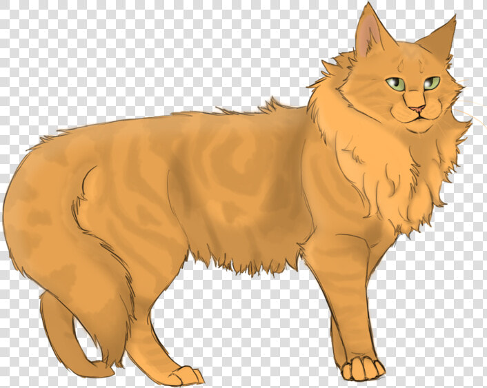 Lionheart   Warrior Cat Orange Cats  HD Png DownloadTransparent PNG