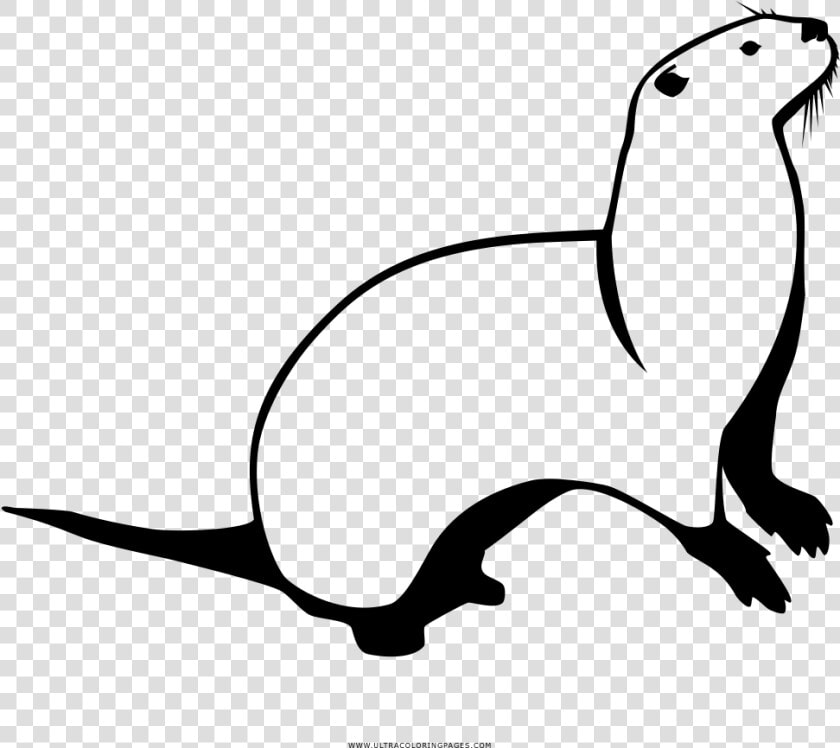 Otter Coloring Page   Otter  HD Png DownloadTransparent PNG