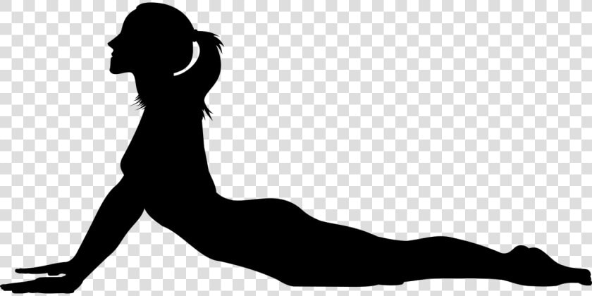 Pilates Yoga Women Free Picture   Vector Image Pilates Silhouette  HD Png DownloadTransparent PNG