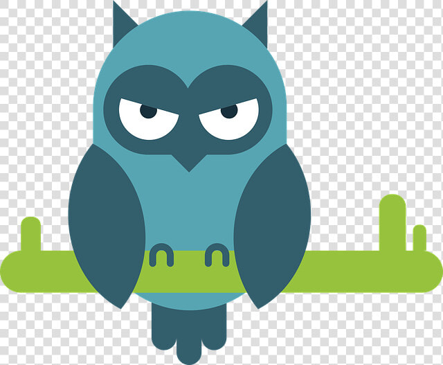 Owl  Comic  Animal Portrait  Animal Picture  Design   Owl Comic  HD Png DownloadTransparent PNG