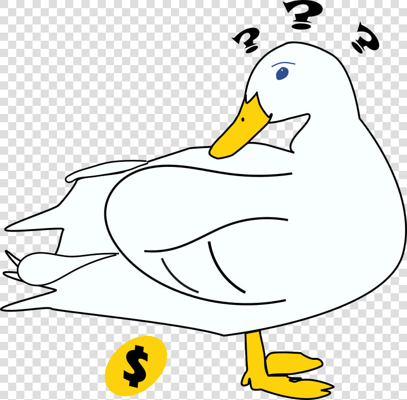 The Goose Or Duck That Laid Golden Eggs   Duck  HD Png DownloadTransparent PNG