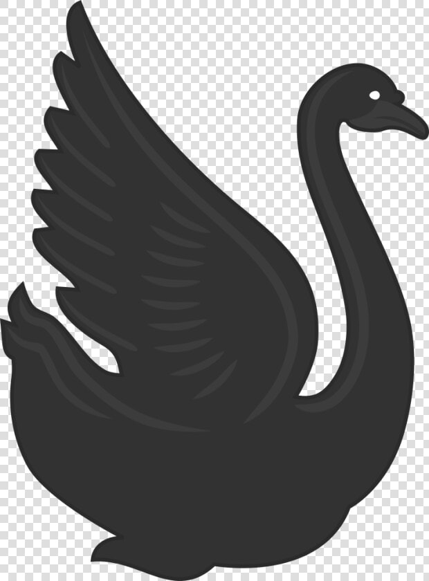 Swan   Swan Icon R  HD Png DownloadTransparent PNG