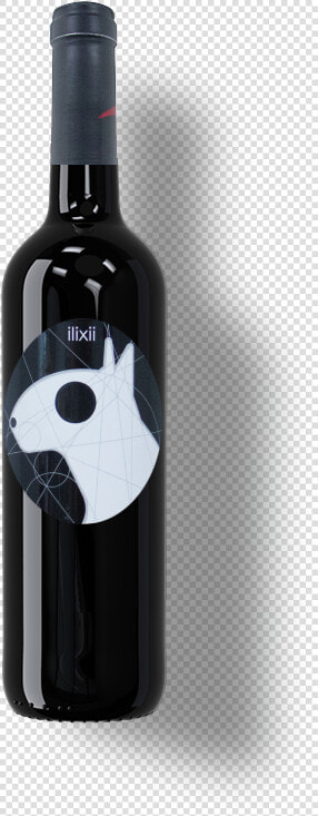 Tg1   Wine Bottle  HD Png DownloadTransparent PNG