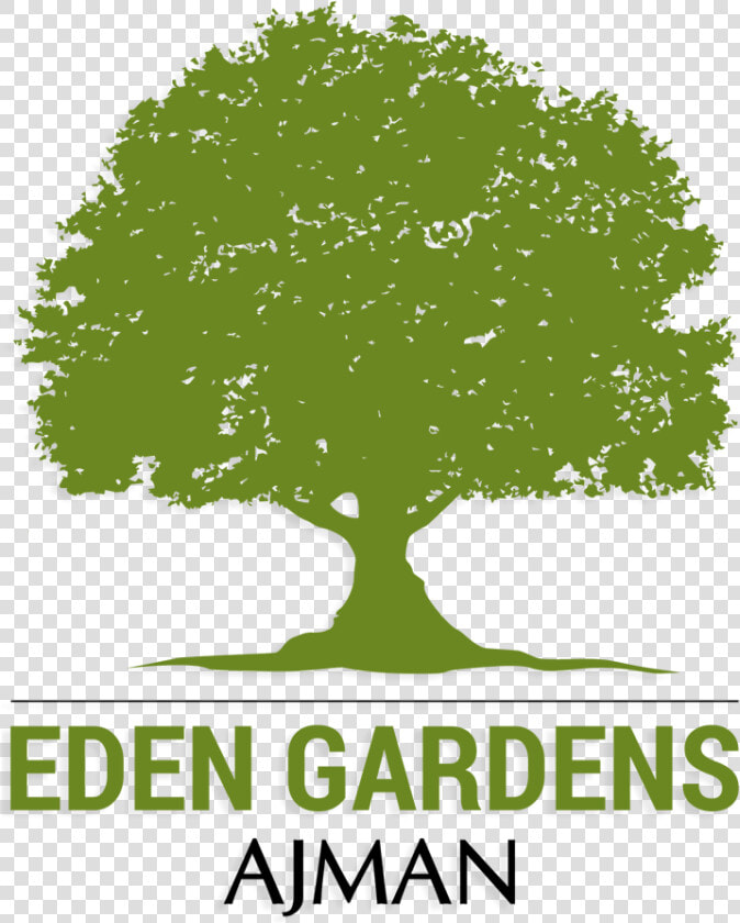 Eden Gardens Ajman   Oak Tree  HD Png DownloadTransparent PNG