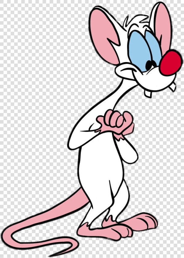 Pink And The Brain Pinky  HD Png DownloadTransparent PNG