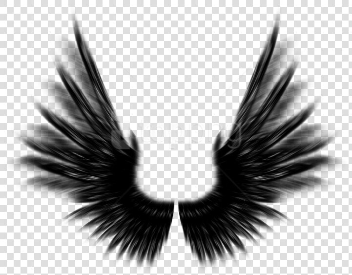 Free Png Shield With Wings Png Png Image With Transparent   Black Angel Wings Photoshop  Png DownloadTransparent PNG