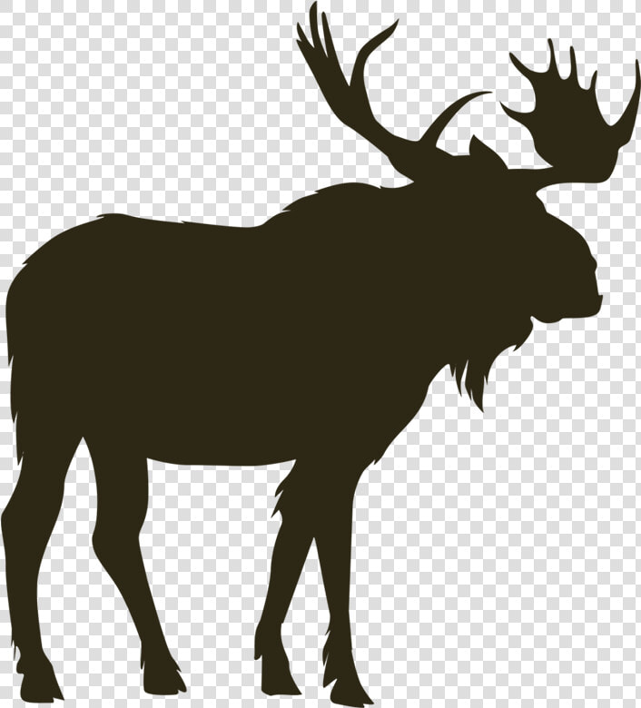 Home North River Outfitting   Moose Vector  HD Png DownloadTransparent PNG