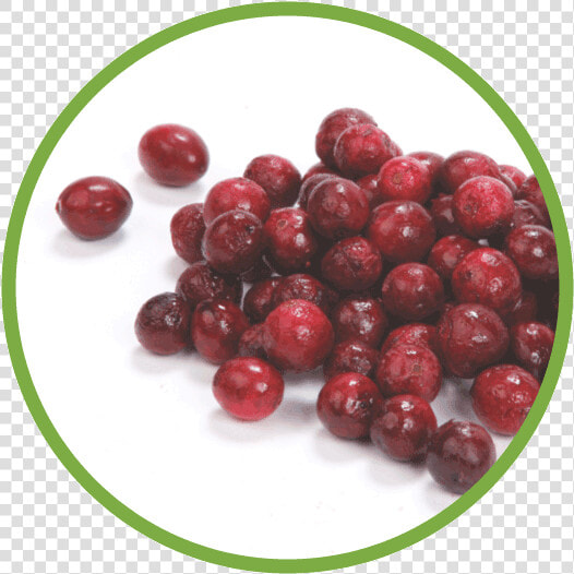 Cranberry Md Circle   Red Circle Fruit  HD Png DownloadTransparent PNG