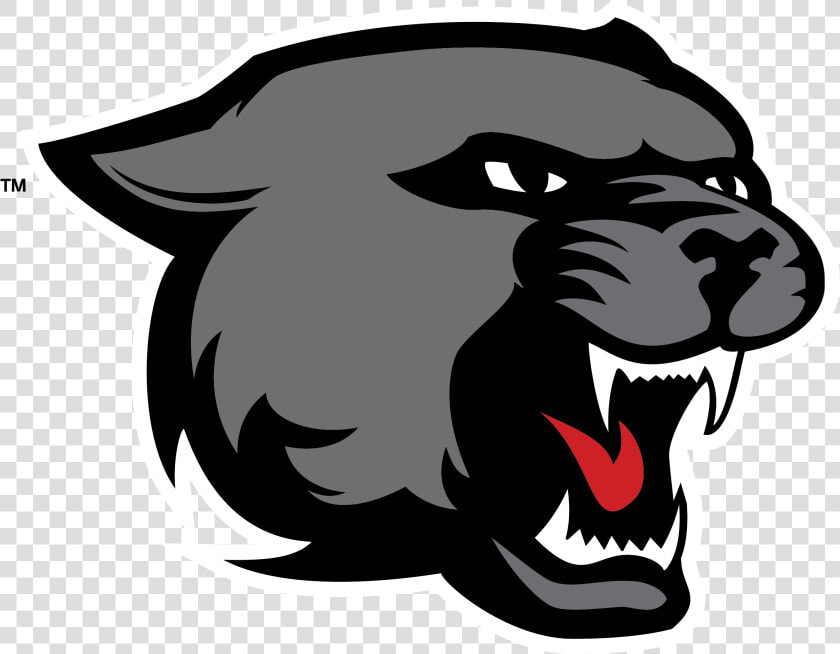 Panther Head Vector   Easy Black Panther Animal Drawing  HD Png DownloadTransparent PNG