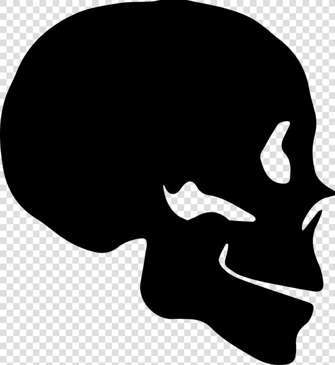 Skull Silhouette Bone Human Skeleton   Skull Silhouette Transparent  HD Png DownloadTransparent PNG