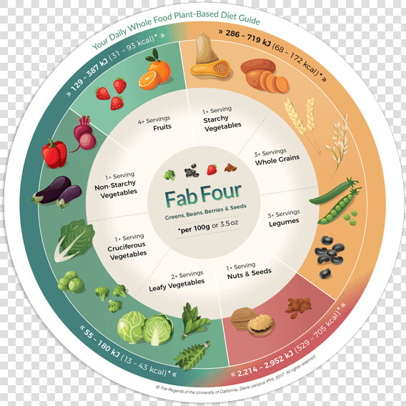 Fab Four Food List  HD Png DownloadTransparent PNG