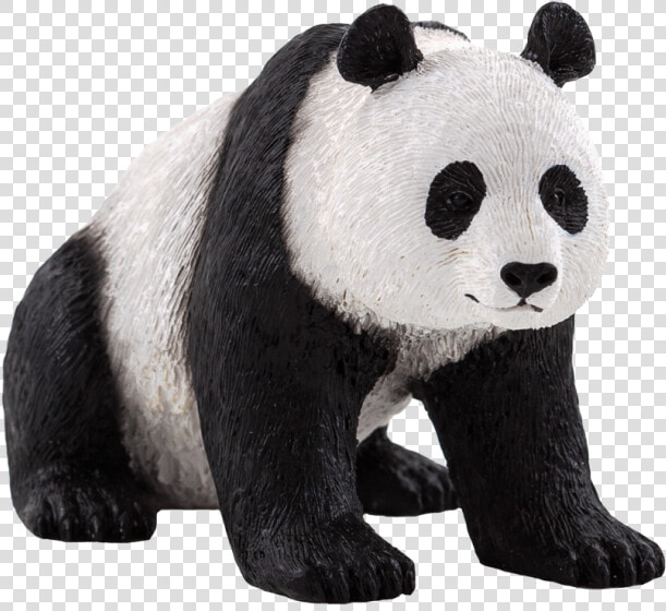 Oso Panda Png Stock   Giant Panda Vector Transparent  Png DownloadTransparent PNG