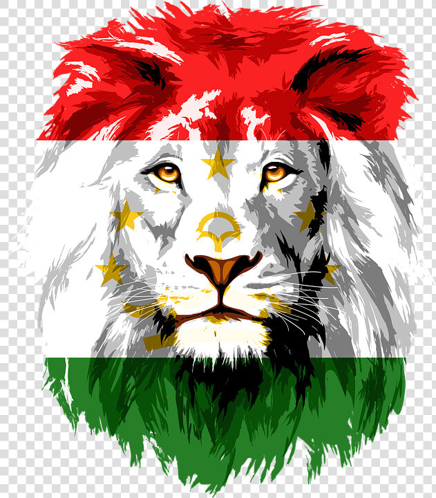 Lion  Iran  Tajikistan  Afghanistan  India  Khujand   Lion Head Clipart Png  Transparent PngTransparent PNG