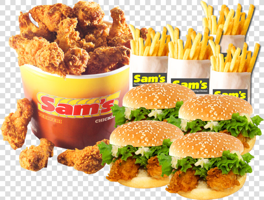 Sam  39 s Chicken Fiery Wings  HD Png DownloadTransparent PNG