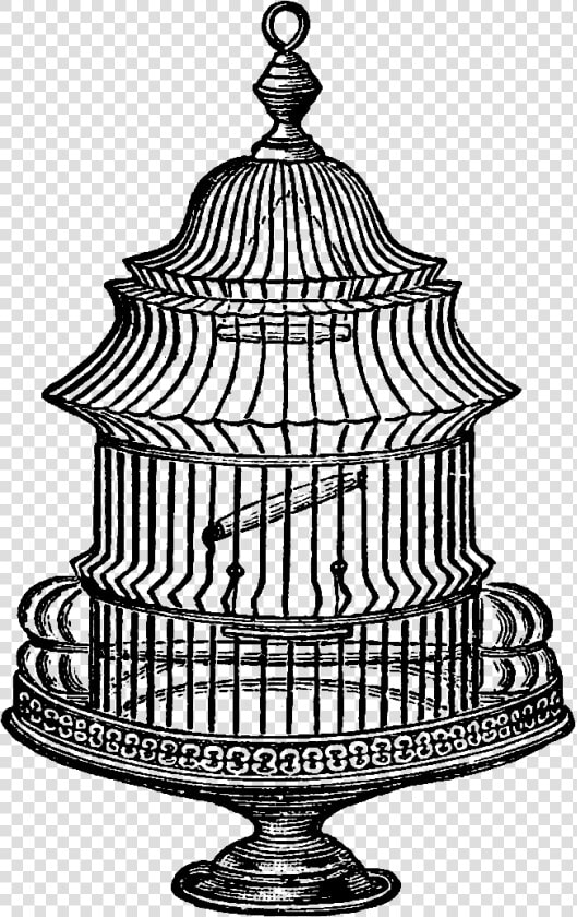 Antique Bird Cage Drawing   Vintage Bird Cage Illustration Free  HD Png DownloadTransparent PNG