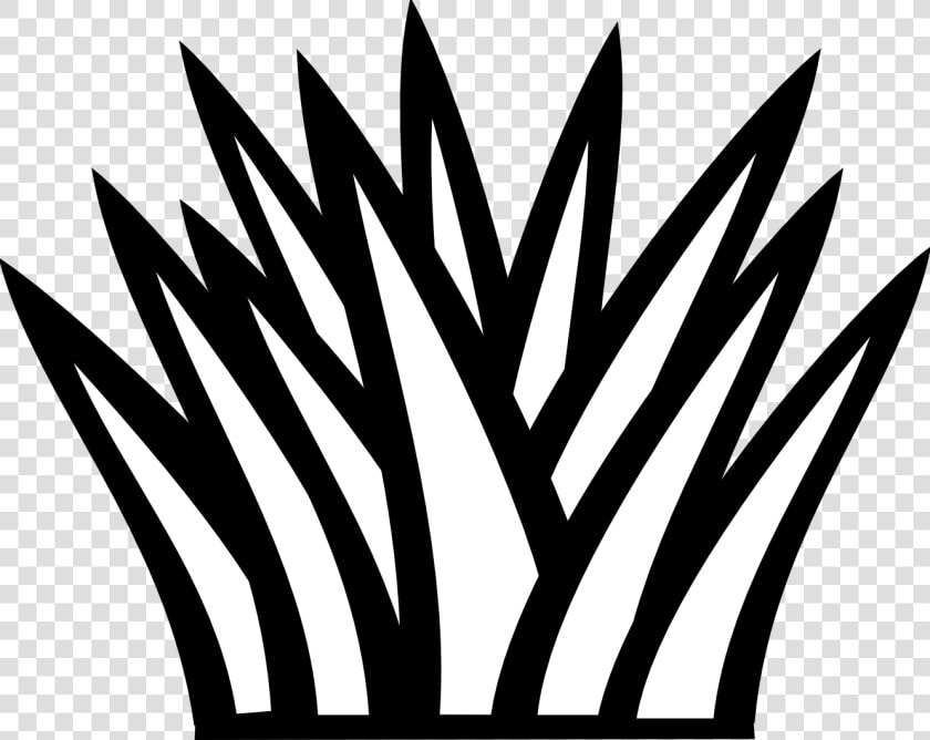 Cactus Clipart Black And Whit   Grass Line Art Black And White  HD Png DownloadTransparent PNG