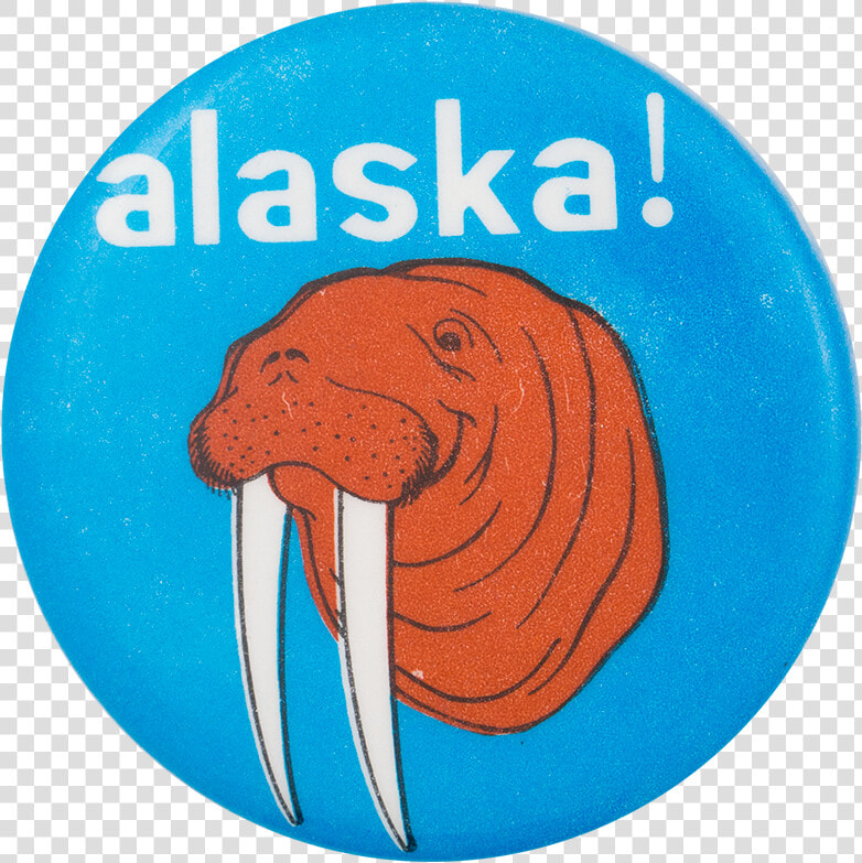 Alaska Walrus Events Button Museum   Illustration  HD Png DownloadTransparent PNG