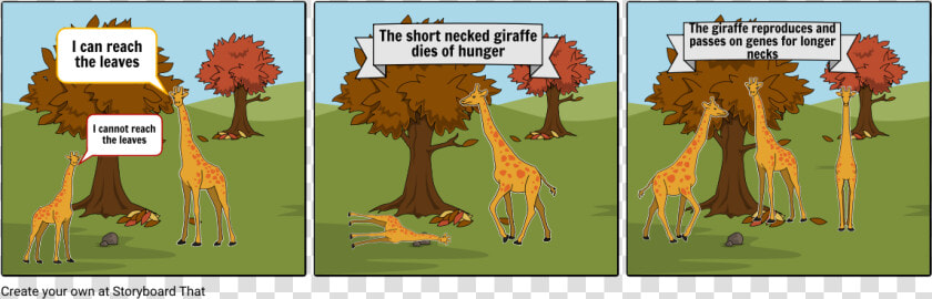 Evolution Of Giraffes Neck Cartoon  HD Png DownloadTransparent PNG