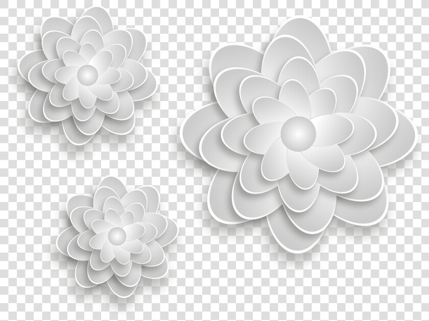 Flor Gris Png  Transparent PngTransparent PNG