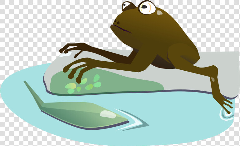 Moist   True Frog  HD Png DownloadTransparent PNG