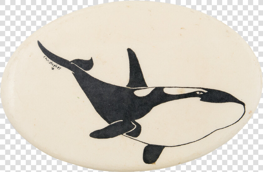 Orca Whale Art Button Museum   Killer Whale  HD Png DownloadTransparent PNG