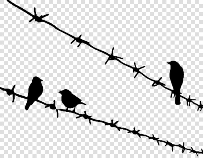 Bird Png Download   Birds Sitting On Wire Tattoo  Transparent PngTransparent PNG