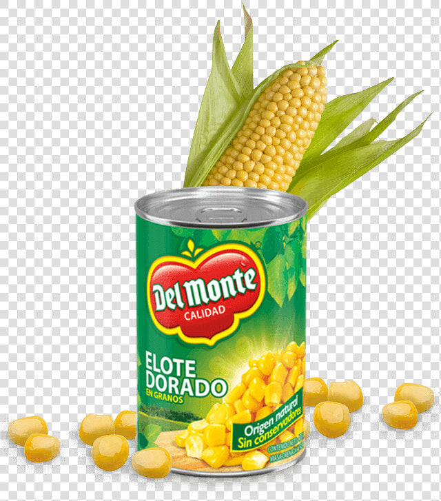 Elote Png  Transparent PngTransparent PNG