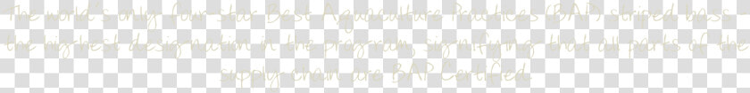 Handwriting  HD Png DownloadTransparent PNG