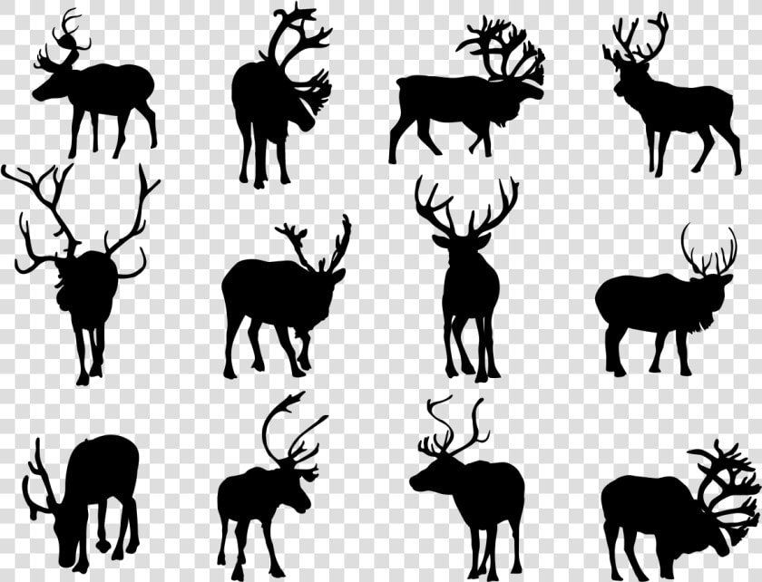 Reindeer Silhouette Clip Art   Silhouettes Of Animals Tropical Rainforest  HD Png DownloadTransparent PNG