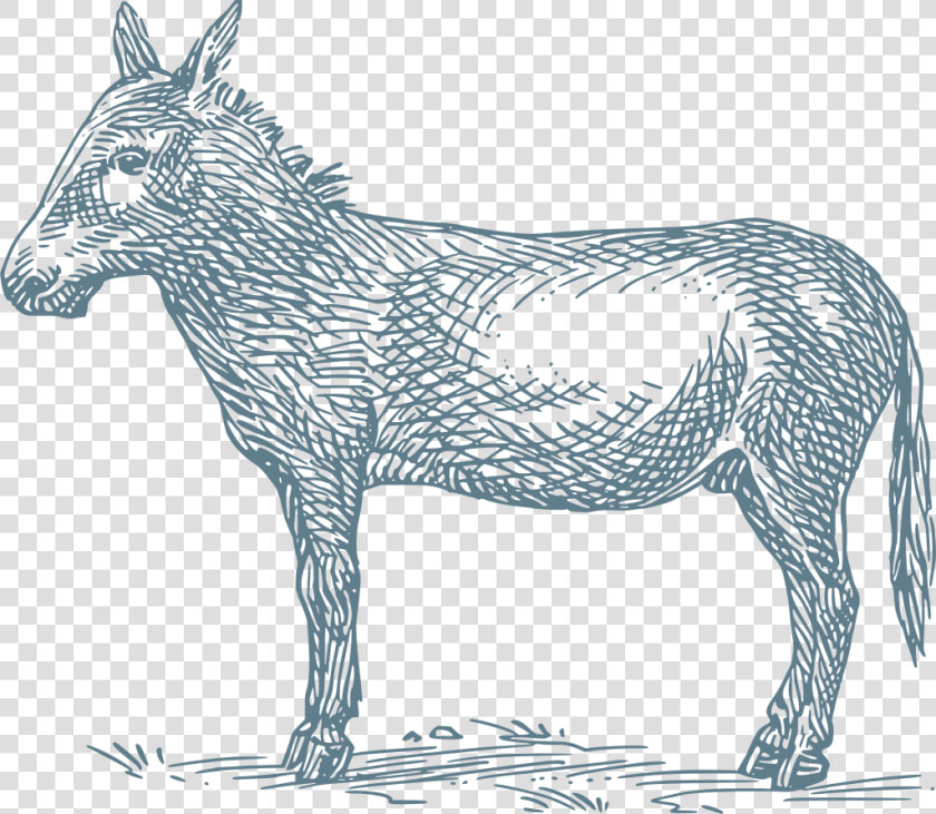 Donkey Grimms Fairy Tale  HD Png DownloadTransparent PNG