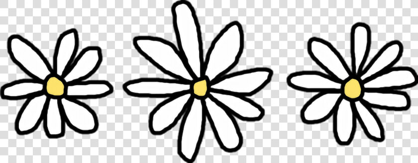 Flower Common Daisy Clip Art Transprent  HD Png DownloadTransparent PNG