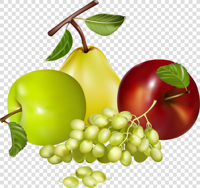 Mixed Fruits Png Clipart Best Web Clipart Pics   Fruit Clipart Png  Transparent PngTransparent PNG