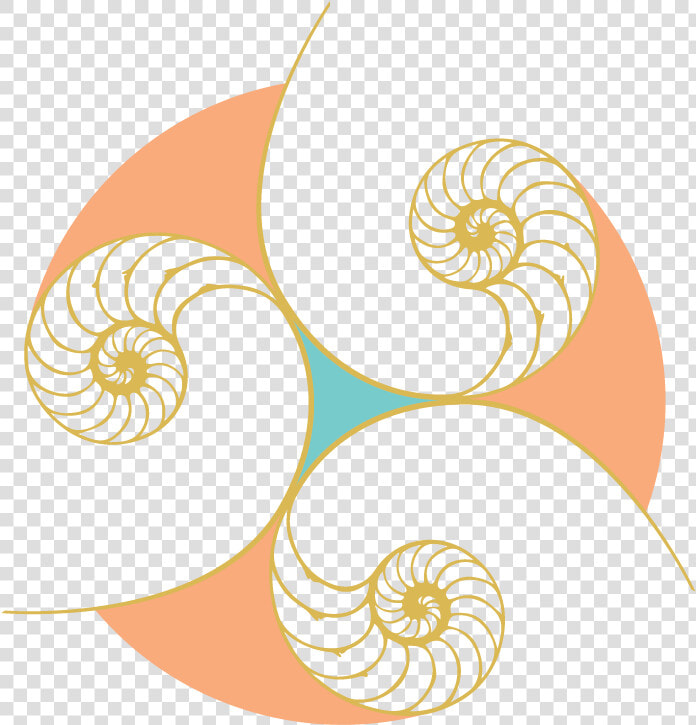 Chambered Nautilus  HD Png DownloadTransparent PNG