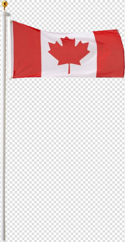 Canada Flag Png Free Image Download   Canadian Flag On A Pole  Transparent PngTransparent PNG