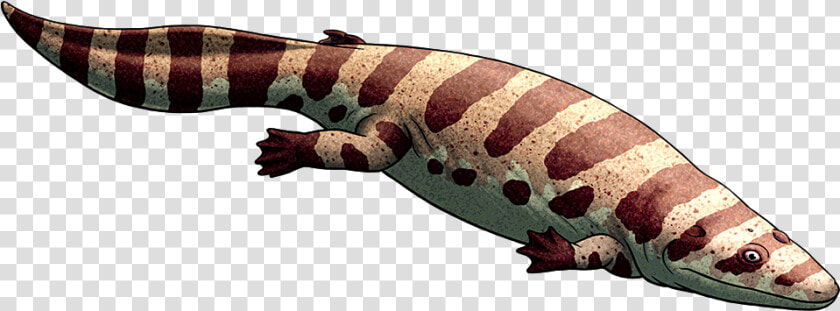 Transparent Giant Monster Png   Gila Monster  Png DownloadTransparent PNG