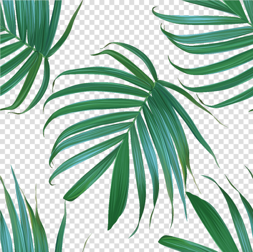 Sticker Tapisserie Tropicale Feuilles De Palmiers Ambiance   Tapisserie Feuille De Palmier  HD Png DownloadTransparent PNG