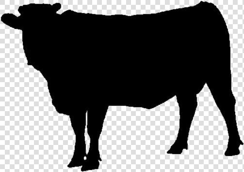 Cow Animal Png Hd Transparent Wallpaper   Animal  Png DownloadTransparent PNG