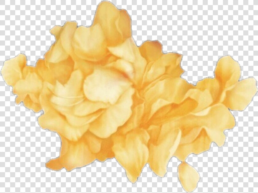  rose  petals  yellow  aesthetic  localcupcakeaesthetics   Troye Sivan Wild Png  Transparent PngTransparent PNG