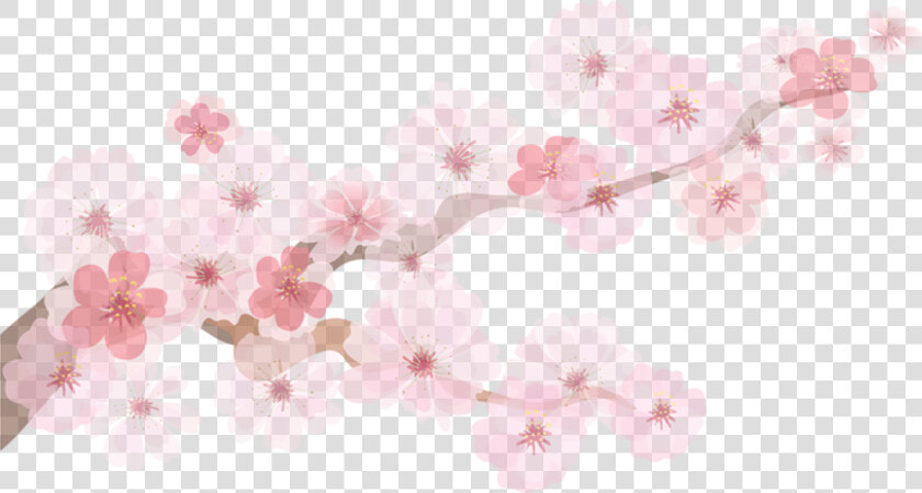 Transparent Cherry Blossom Emoji Png   Cherry Blossom Paper Decoration  Png DownloadTransparent PNG