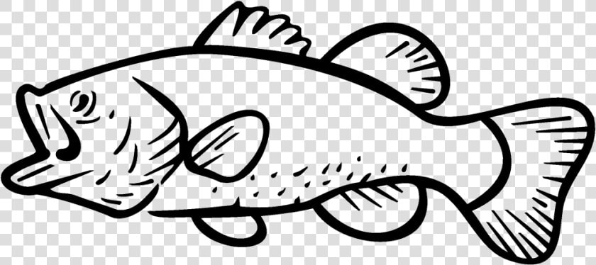 Bass Fishing Largemouth Bass Clip Art   Largemouth Bass Clip Art  HD Png DownloadTransparent PNG