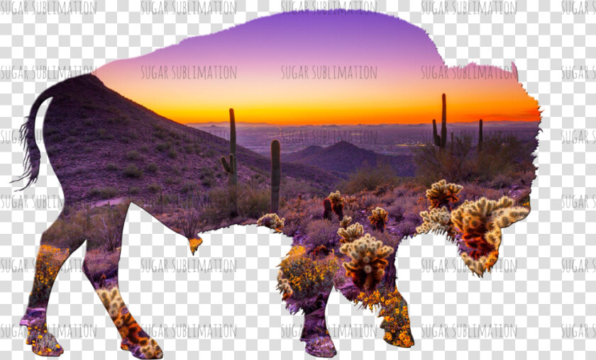 Beautiful Arizona Desert  HD Png DownloadTransparent PNG