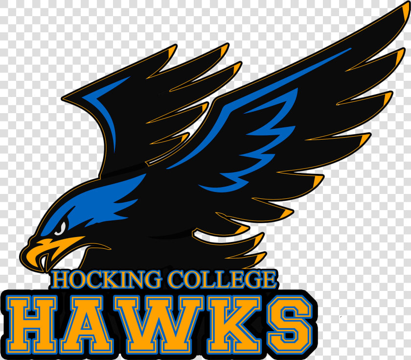 Hocking College Hawks  HD Png DownloadTransparent PNG