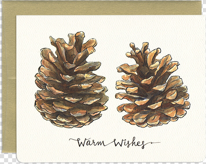 Nature Holiday Greeting Card   Pine Cone Puns  HD Png DownloadTransparent PNG