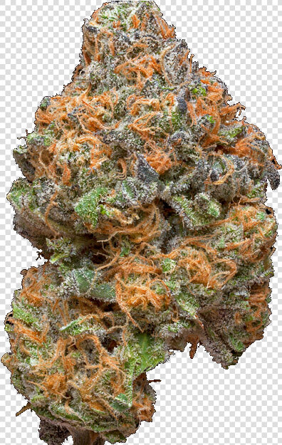 Nug Transparent Weed Png  Png DownloadTransparent PNG