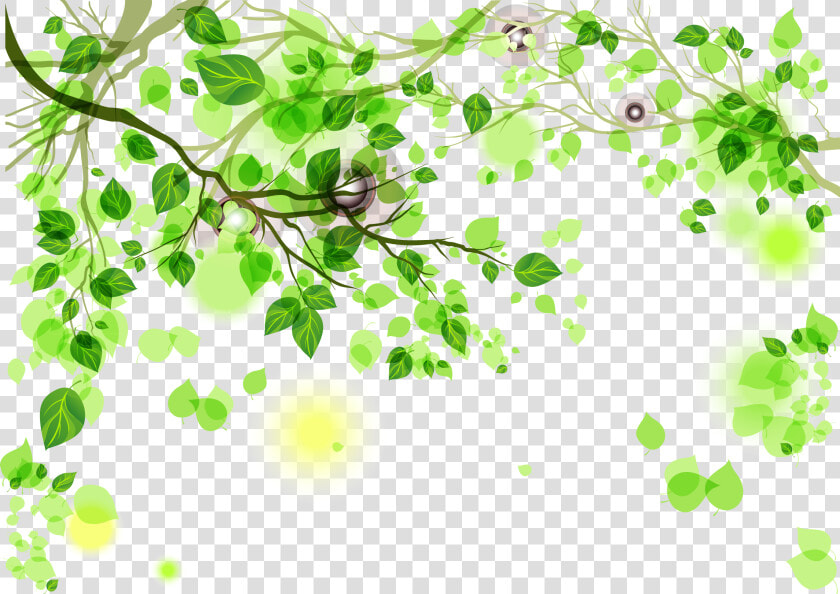 Green Background Png Download   Green Background  Transparent PngTransparent PNG