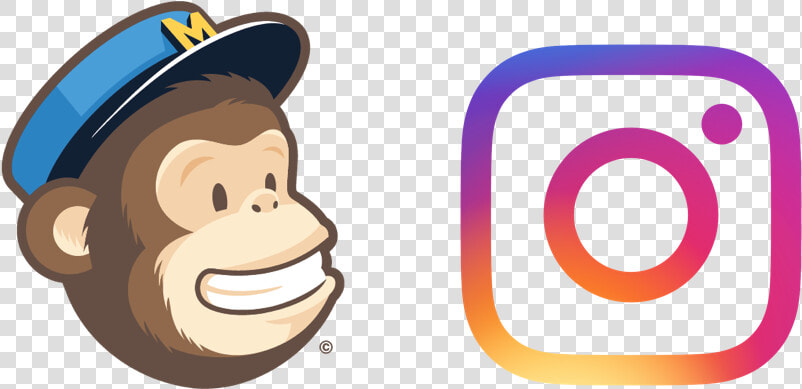 Mailchimp Evolution New Instagram Ad Campaigns   Mailchimp Logo  HD Png DownloadTransparent PNG